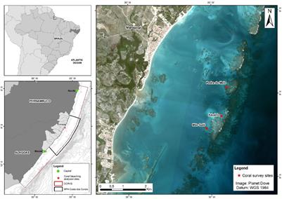 Unprecedented Coral Mortality on Southwestern Atlantic Coral Reefs Following Major Thermal Stress